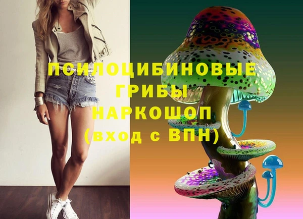 Альфа ПВП Баксан