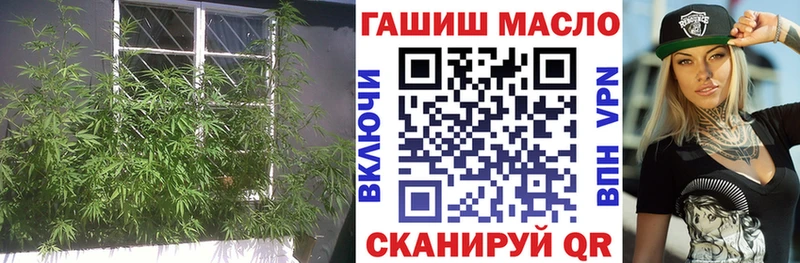 Дистиллят ТГК концентрат  Ершов 