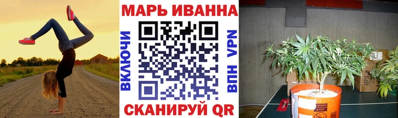 Шишки марихуана Amnesia  Ершов 